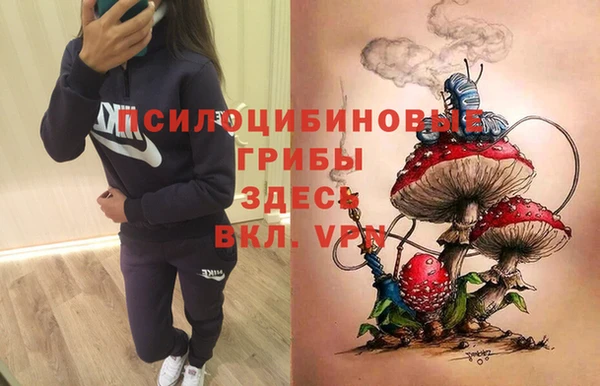гидропоника Елабуга