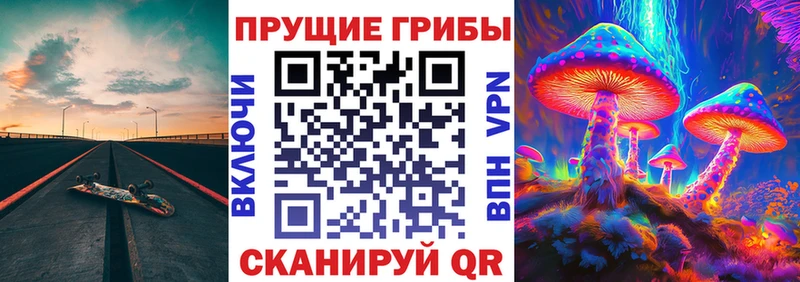 Галлюциногенные грибы Psilocybe  kraken маркетплейс  Армянск 